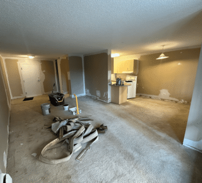 residential-painting-dynamicart-9